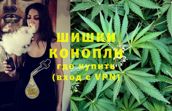 МДПВ Верея