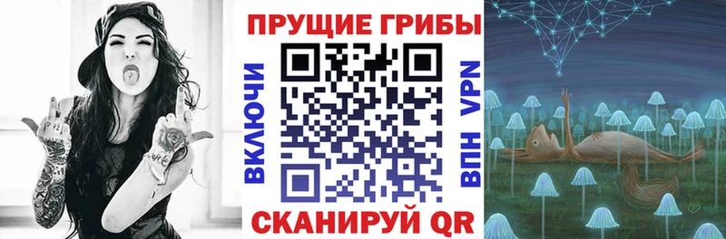 Галлюциногенные грибы Psilocybine cubensis  Воткинск 